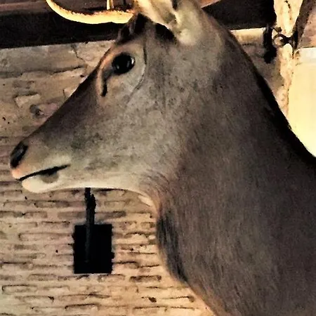 Manoir Du Bois Mignon 4*