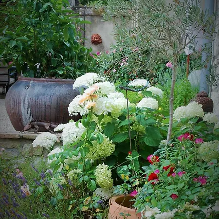 Manoir Du Bois Mignon Oda ve Kahvaltı 4*