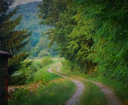 Oda ve Kahvaltı Manoir Du Bois Mignon