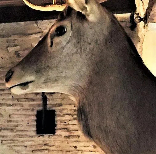 Manoir Du Bois Mignon 4*