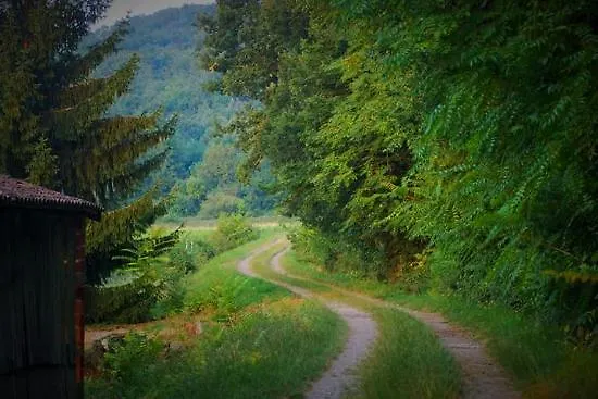 Bed and Breakfast Manoir Du Bois Mignon