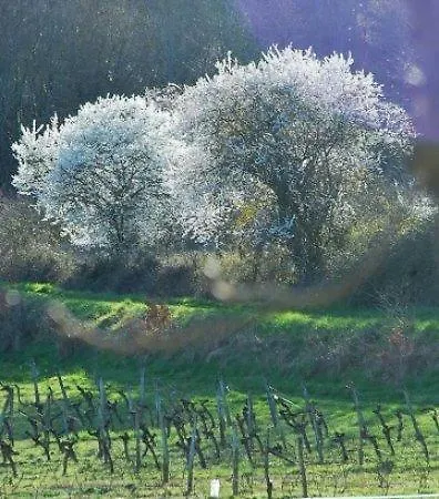 Bed and Breakfast Manoir Du Bois Mignon 4*