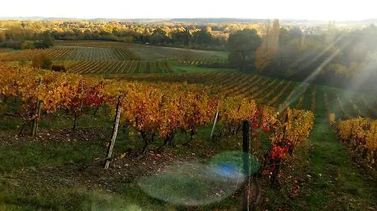 Bed and Breakfast Manoir Du Bois Mignon 4*